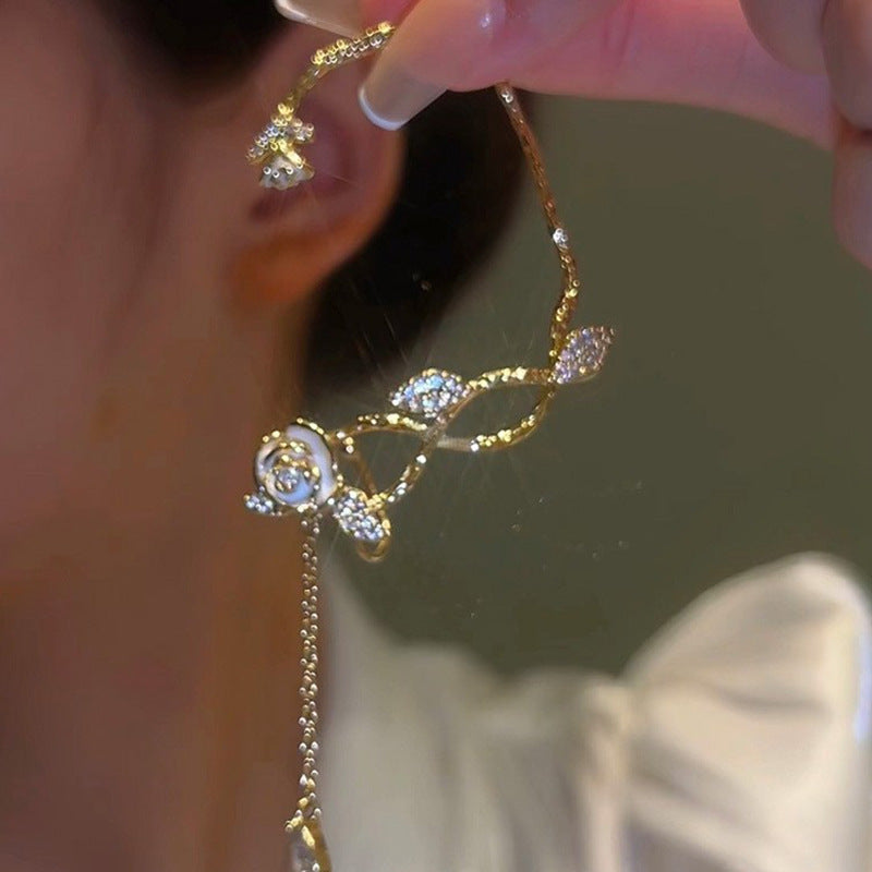 귀를 뚫지 않은 동백나무 덩굴.