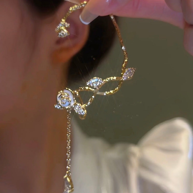 귀를 뚫지 않은 동백나무 덩굴.