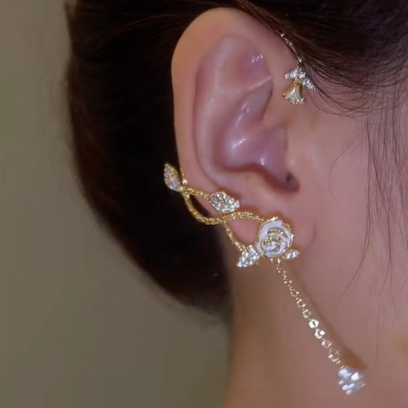 귀를 뚫지 않은 동백나무 덩굴.